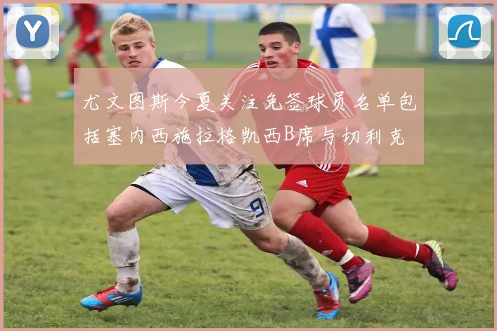 尤文图斯今夏关注免签球员名单包括塞内西施拉格凯西B席与切利克