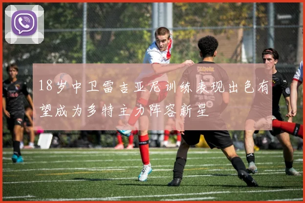 18岁中卫雷吉亚尼训练表现出色有望成为多特主力阵容新星
