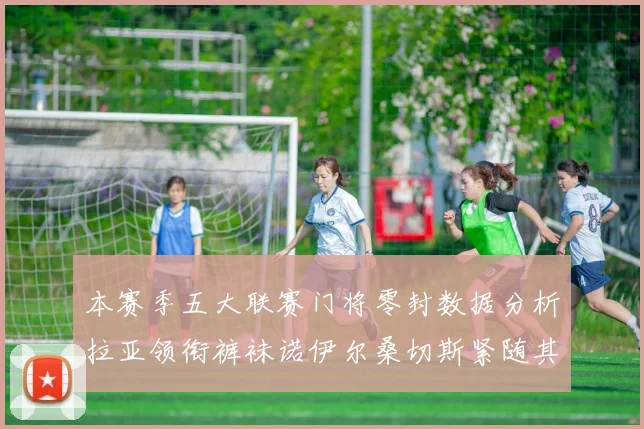 本赛季五大联赛门将零封数据分析拉亚领衔裤袜诺伊尔桑切斯紧随其后