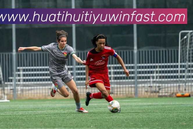 华体会体育平台生态图